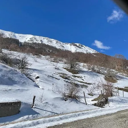 Carmela E Gennaro アパート *