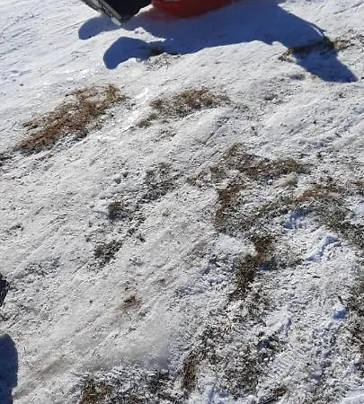 アパート Carmela E Gennaro *