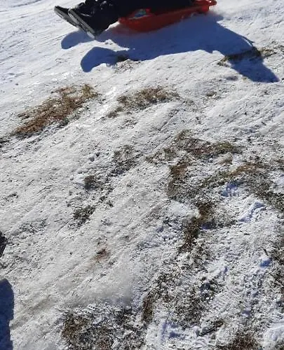 Апартаменты Carmela E Gennaro *