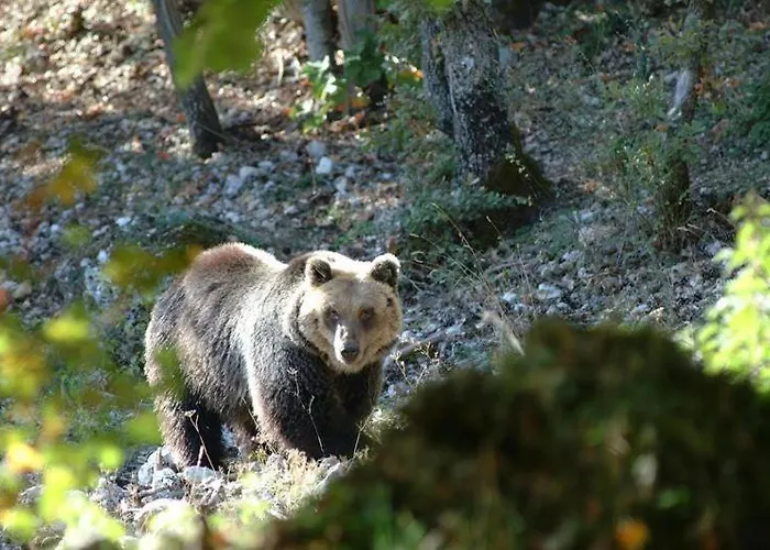 Carmela E Gennaro Апартаменты